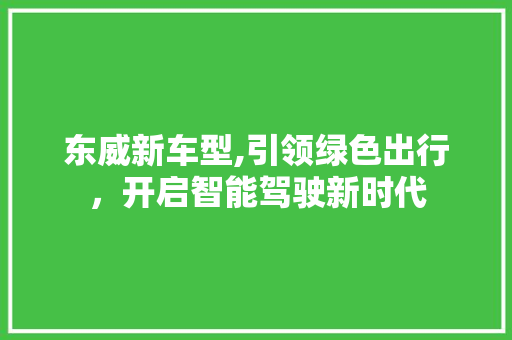 东威新车型,引领绿色出行，开启智能驾驶新时代