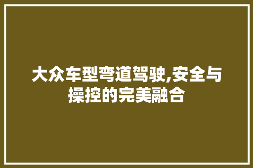 大众车型弯道驾驶,安全与操控的完美融合