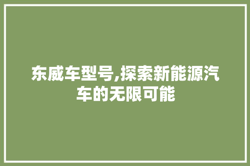 东威车型号,探索新能源汽车的无限可能