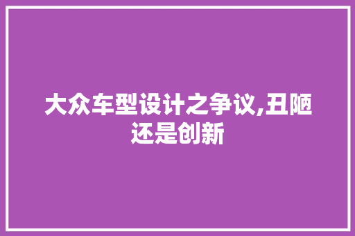 大众车型设计之争议,丑陋还是创新