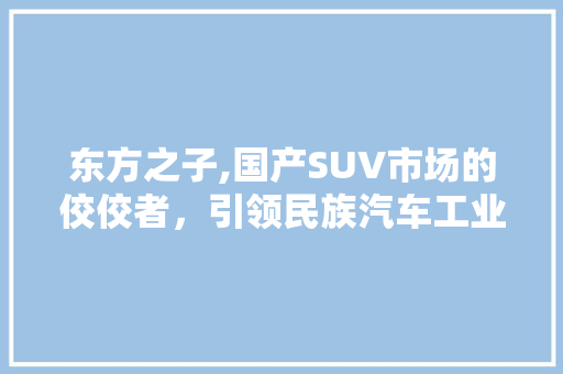 东方之子,国产SUV市场的佼佼者，引领民族汽车工业新篇章 车灯配件