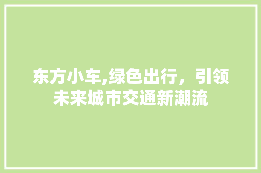 东方小车,绿色出行，引领未来城市交通新潮流 发动机配件
