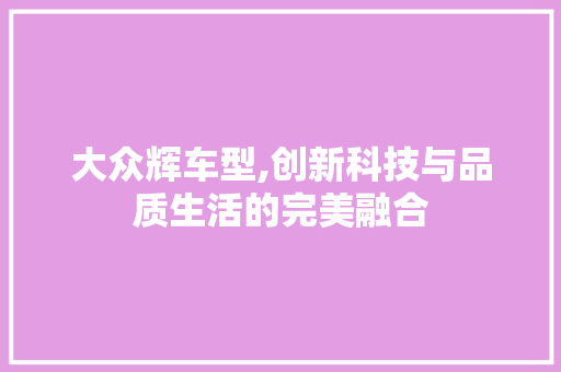 大众辉车型,创新科技与品质生活的完美融合