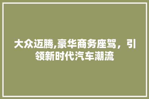 大众迈腾,豪华商务座驾，引领新时代汽车潮流