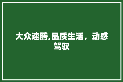 大众速腾,品质生活，动感驾驭