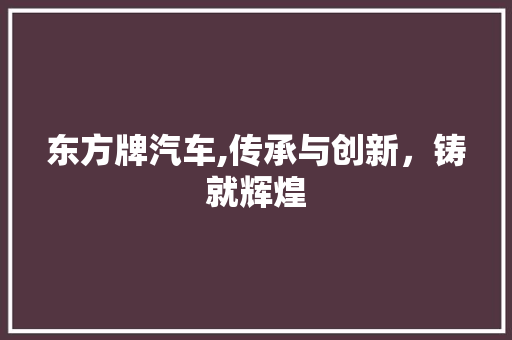 东方牌汽车,传承与创新，铸就辉煌