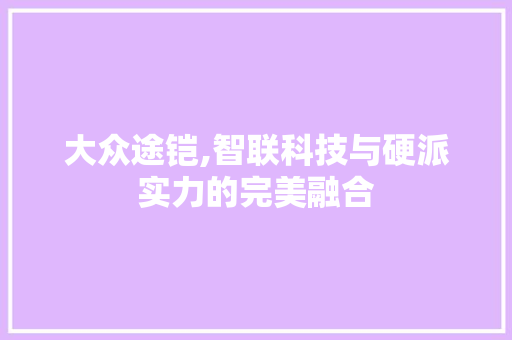 大众途铠,智联科技与硬派实力的完美融合