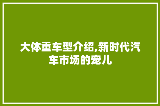 大体重车型介绍,新时代汽车市场的宠儿