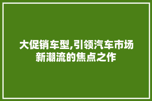 大促销车型,引领汽车市场新潮流的焦点之作