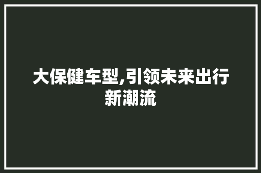 大保健车型,引领未来出行新潮流