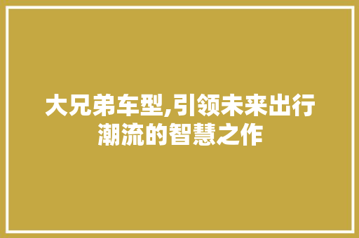 大兄弟车型,引领未来出行潮流的智慧之作