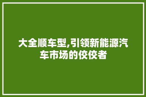 大全顺车型,引领新能源汽车市场的佼佼者