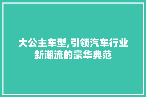 大公主车型,引领汽车行业新潮流的豪华典范