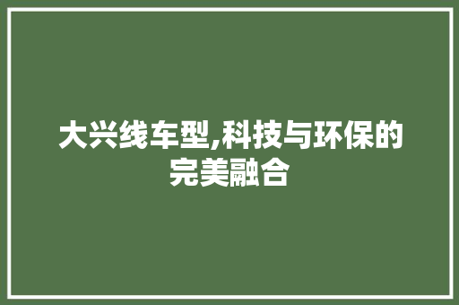 大兴线车型,科技与环保的完美融合