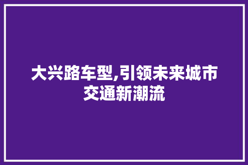 大兴路车型,引领未来城市交通新潮流