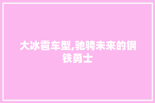 大冰雹车型,驰骋未来的钢铁勇士