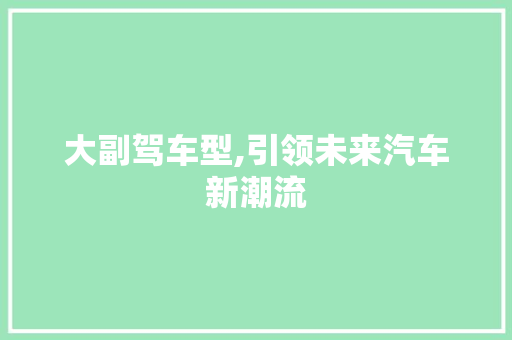 大副驾车型,引领未来汽车新潮流