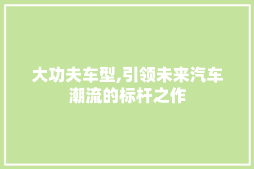 大功夫车型,引领未来汽车潮流的标杆之作