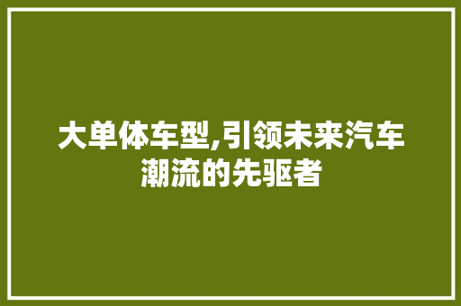 大单体车型,引领未来汽车潮流的先驱者