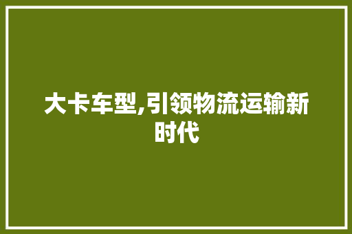 大卡车型,引领物流运输新时代