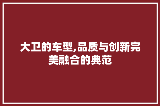 大卫的车型,品质与创新完美融合的典范