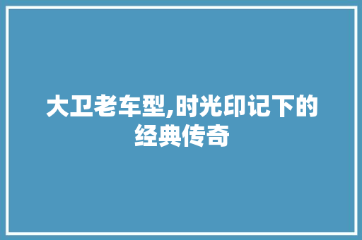 大卫老车型,时光印记下的经典传奇