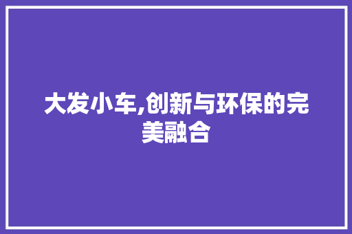 大发小车,创新与环保的完美融合
