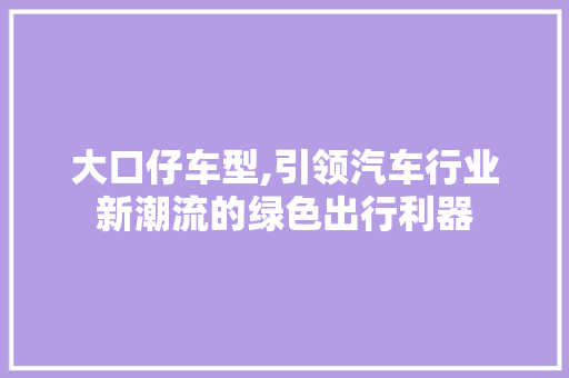 大口仔车型,引领汽车行业新潮流的绿色出行利器