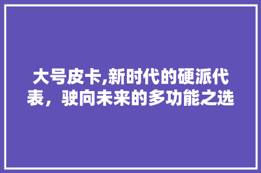 大号皮卡,新时代的硬派代表，驶向未来的多功能之选
