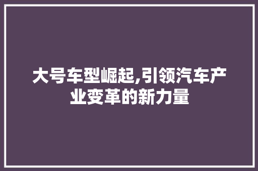 大号车型崛起,引领汽车产业变革的新力量