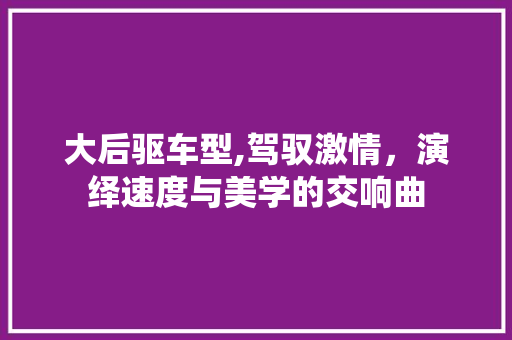大后驱车型,驾驭激情，演绎速度与美学的交响曲