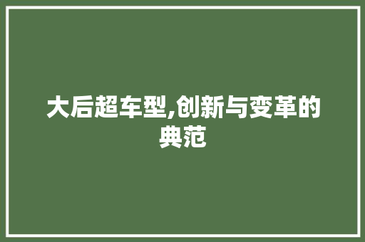 大后超车型,创新与变革的典范