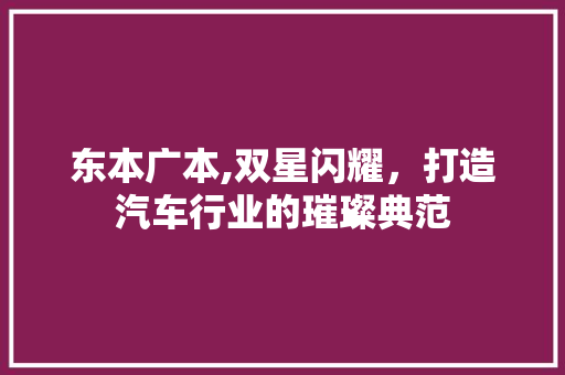 东本广本,双星闪耀，打造汽车行业的璀璨典范 车身配件