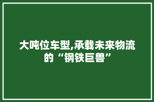 大吨位车型,承载未来物流的“钢铁巨兽”
