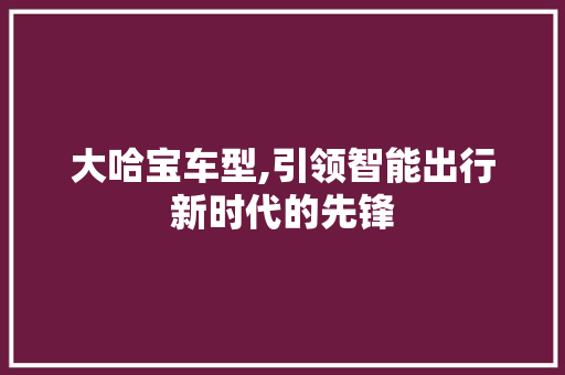 大哈宝车型,引领智能出行新时代的先锋