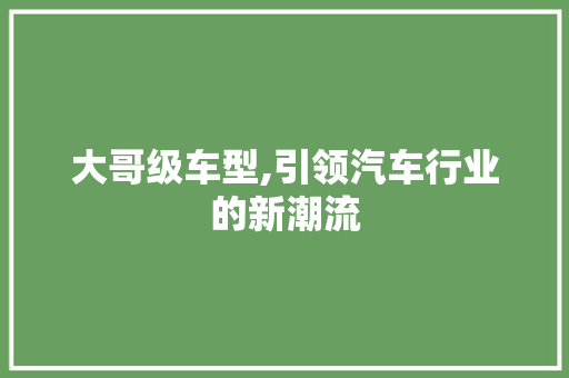 大哥级车型,引领汽车行业的新潮流