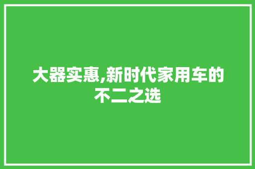大器实惠,新时代家用车的不二之选
