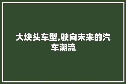 大块头车型,驶向未来的汽车潮流