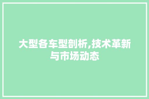 大型各车型剖析,技术革新与市场动态