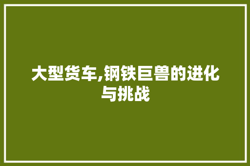 大型货车,钢铁巨兽的进化与挑战
