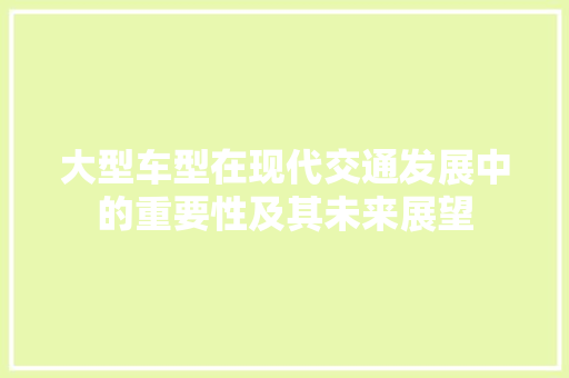 大型车型在现代交通发展中的重要性及其未来展望
