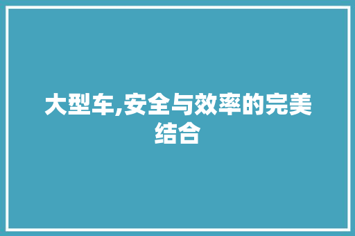 大型车,安全与效率的完美结合