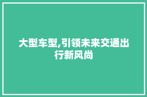 大型车型,引领未来交通出行新风尚