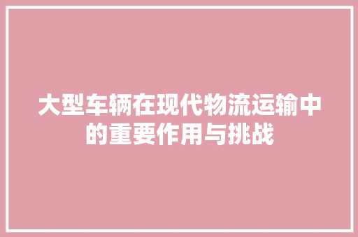 大型车辆在现代物流运输中的重要作用与挑战