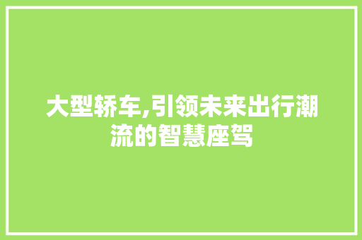 大型轿车,引领未来出行潮流的智慧座驾