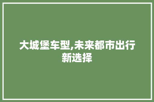 大城堡车型,未来都市出行新选择