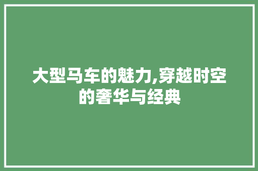 大型马车的魅力,穿越时空的奢华与经典