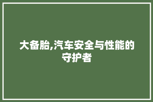 大备胎,汽车安全与性能的守护者