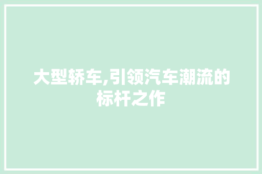 大型轿车,引领汽车潮流的标杆之作