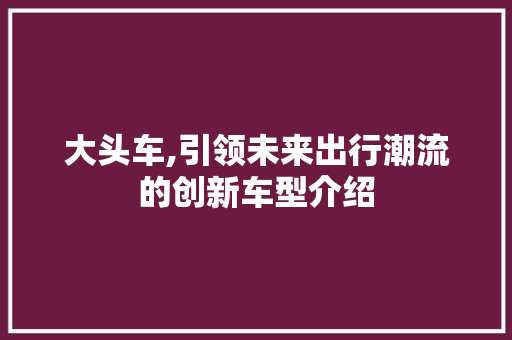 大头车,引领未来出行潮流的创新车型介绍